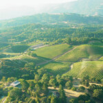 Views at BobDog Wines