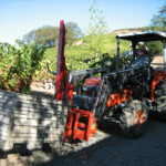 The Crush at BobDog Wines