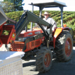 The Crush at BobDog Wines
