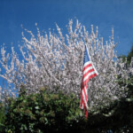 Spring at BobDog Wines