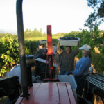 The Crush at BobDog Wines