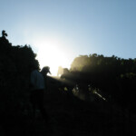 The Crush at BobDog Wines