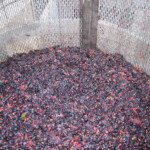 The Crush at BobDog Wines