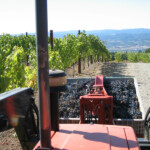 The Crush at BobDog Wines