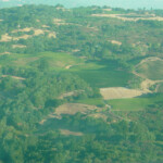 Views at BobDog Wines