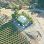 Tours at BobDog Wines